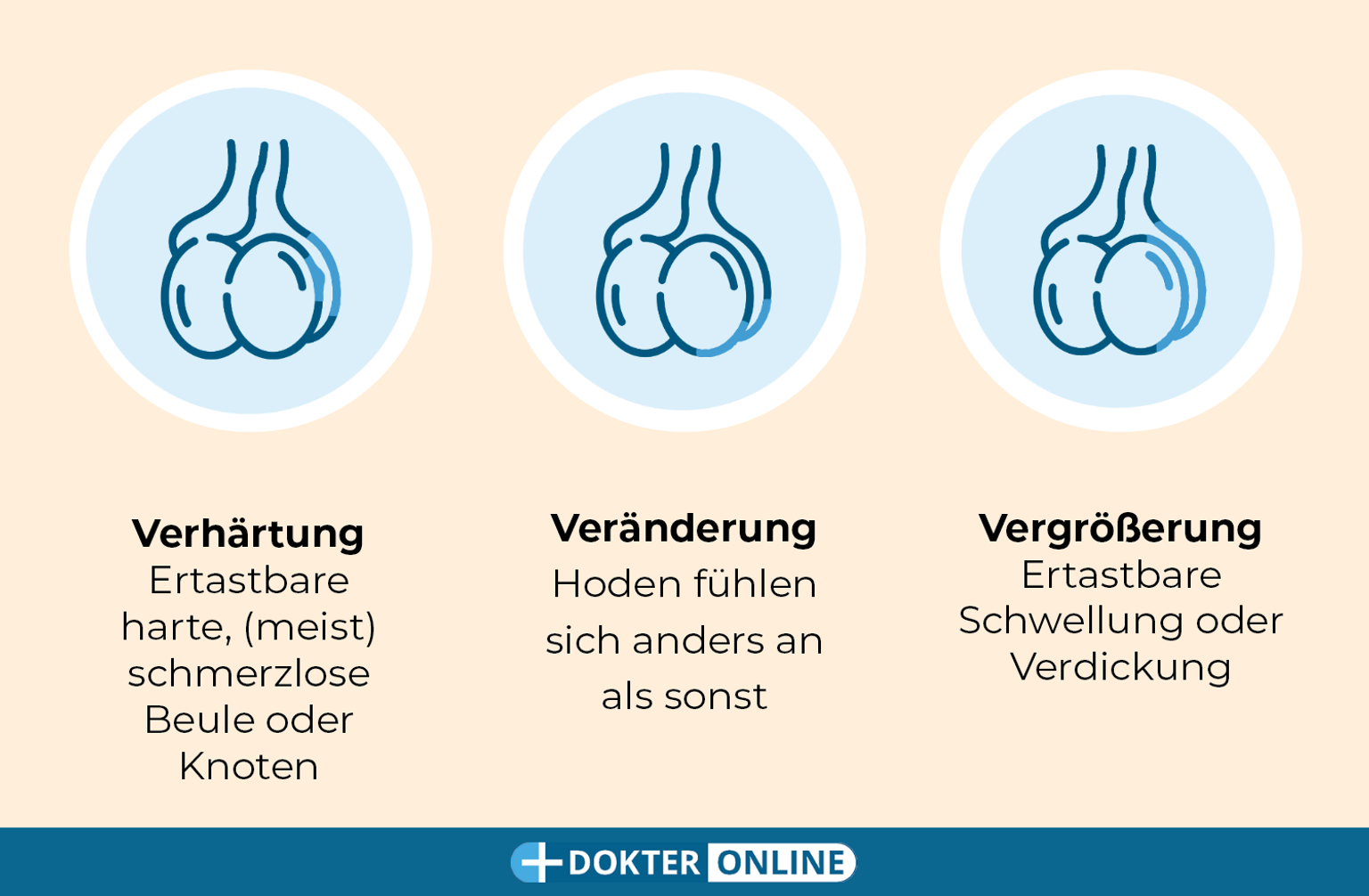 So erkennen Sie durch Selbstuntersuchung frühe Anzeichen von Hodenkrebs - DE3