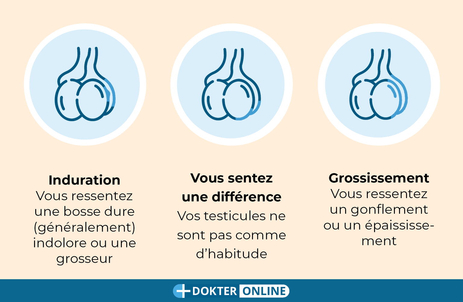 Découvrez les signes précoces du cancer du testicule grâce à l’autoexamen - FR3