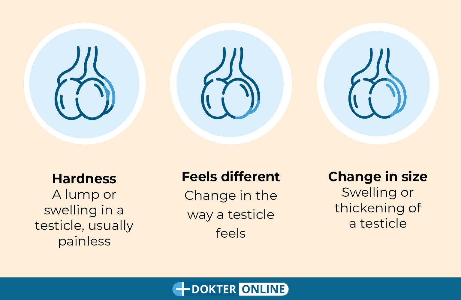 Check for early signs of testicular cancer by doing a self-exam - EN3