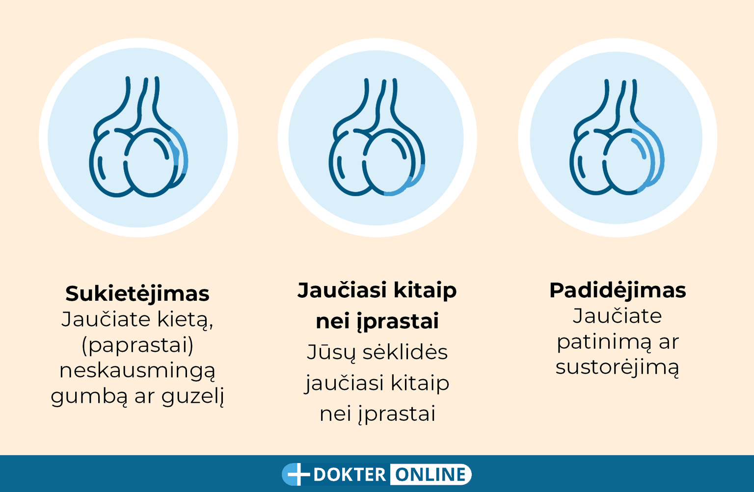 Aptikite ankstyvuosius sėklidžių vėžio požymius atlikdami savityrą - LT3