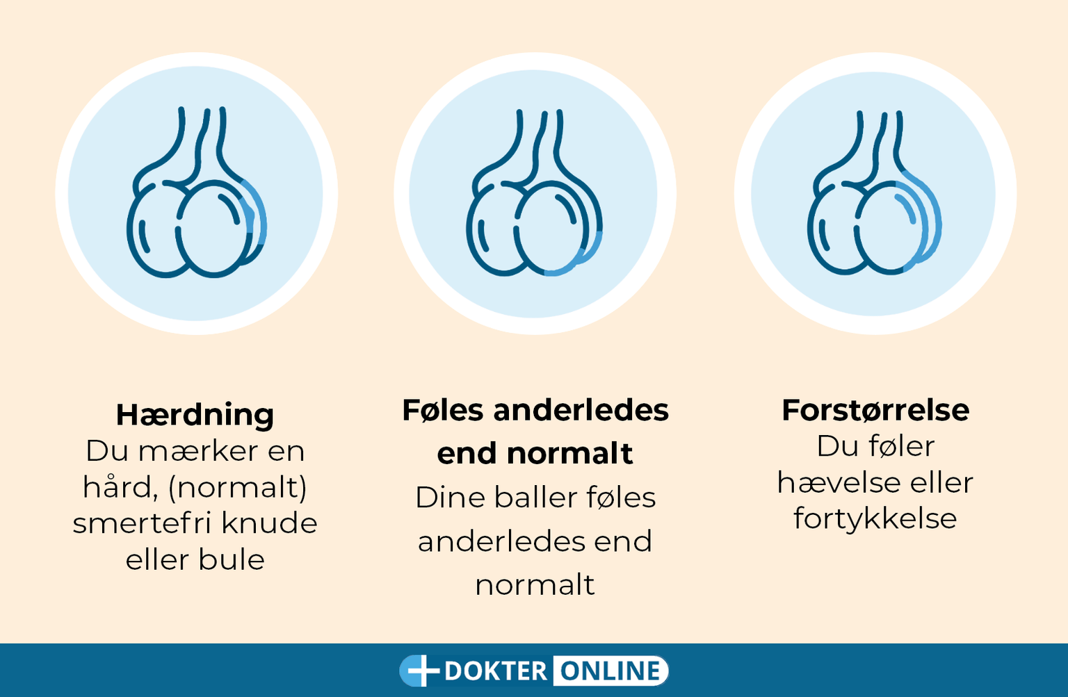 Opdag tidlige tegn på testikelkræft med selvundersøgelse - DK3