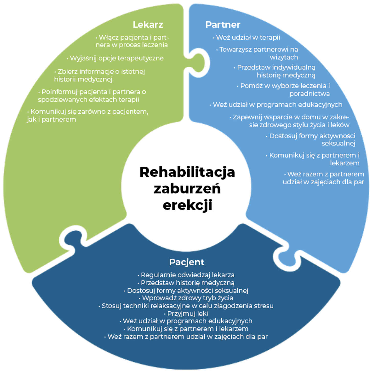 PL-PL Artikel 'Psychologische complexiteit van erectiestoornissen in partnerrelaties '