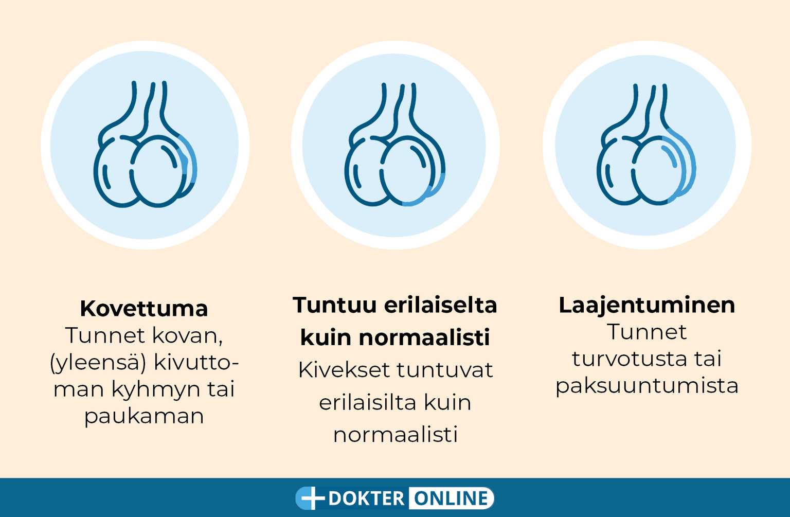 Löydä kivessyövän varhaiset merkit itsetutkimuksella - FI3