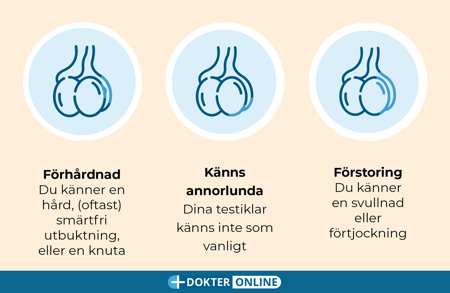 Upptäck tidiga tecken på testikelcancer med självundersökning - SV3