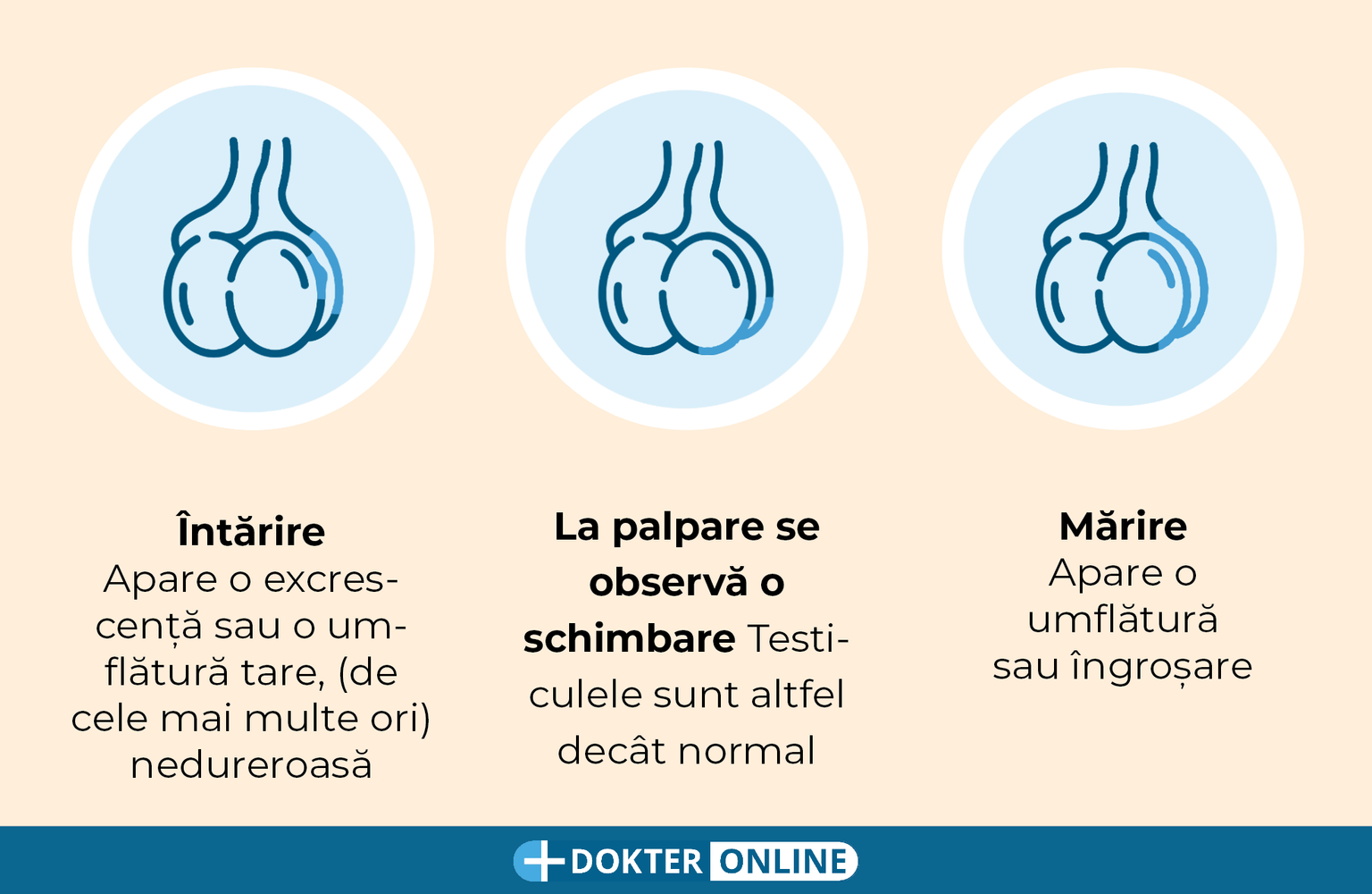 Identificarea semnelor precoce de cancer testicular prin autoexaminare - RO3