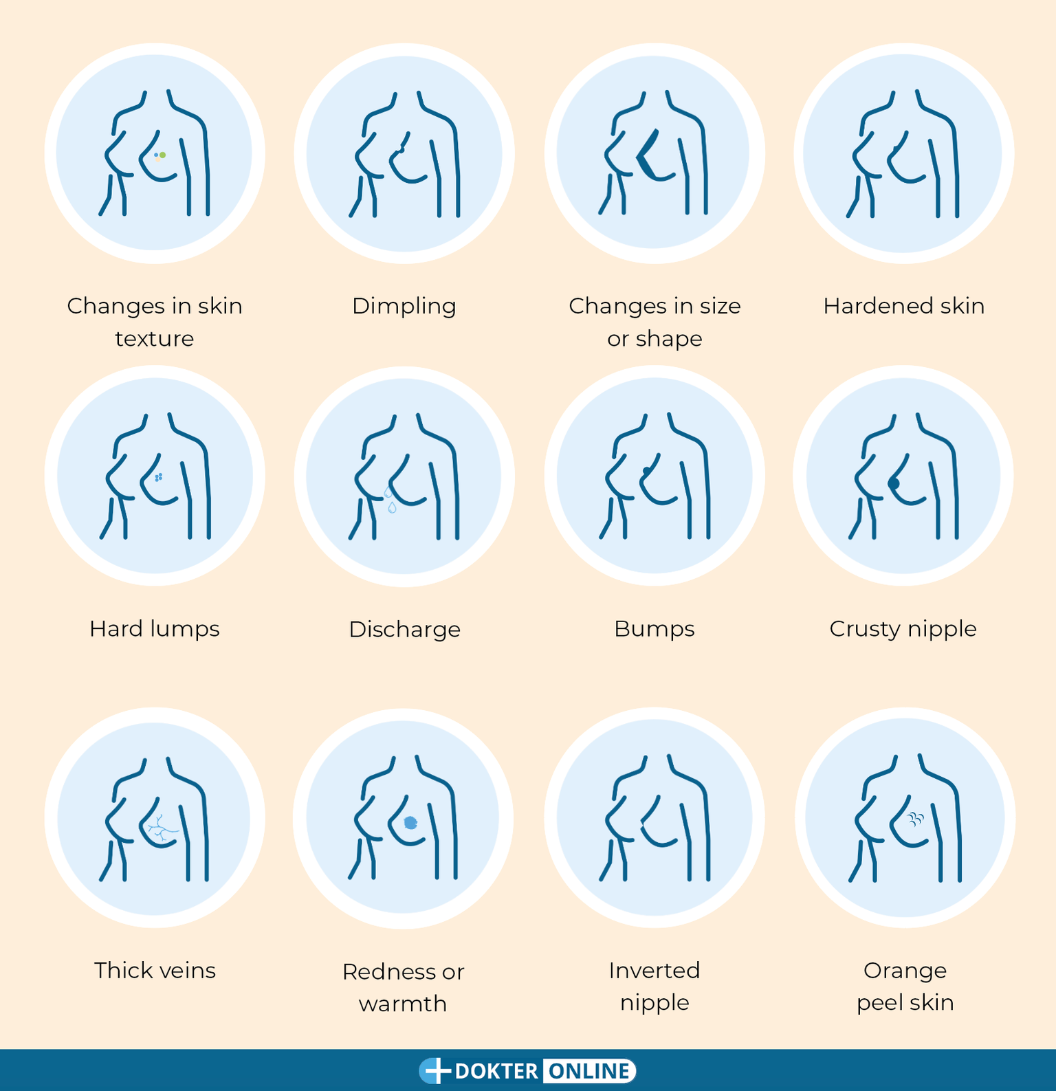 How do you do a breast self-exam? - EN2